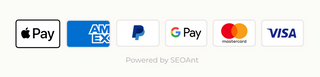 Logos of various payment methods including Apple Pay, AMEX, PayPal, Google Pay, Mastercard, and Visa