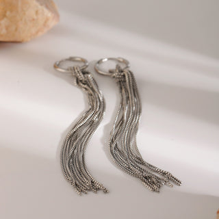 Pair of silver tassel earrings on a light background