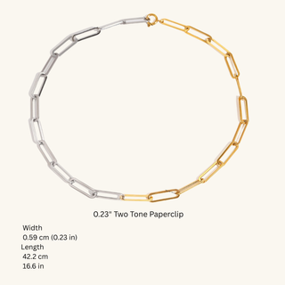 Two-tone paperclip chain necklace with gold and silver links on a white background.
